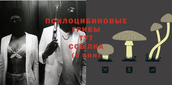 jwh Абаза