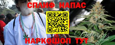прущие грибы Брянск