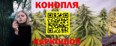 прущие грибы Брянск