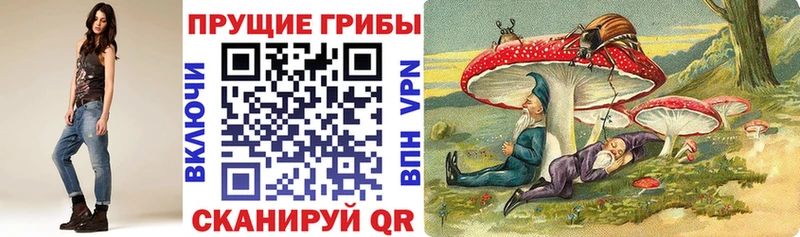 Псилоцибиновые грибы MAGIC MUSHROOMS  наркотики  Киржач 