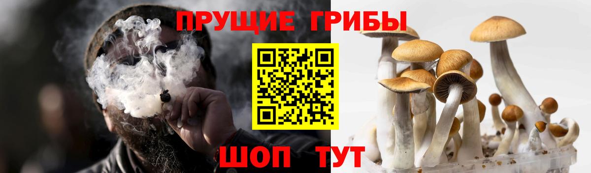 Псилоцибиновые грибы Psilocybe  Вход с VPN  Псилоцибиновые грибы Psilocybine cubensis  Киржач 